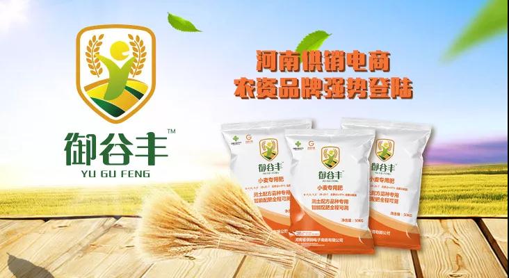 河南省供銷(xiāo)電子商務(wù)有限公司